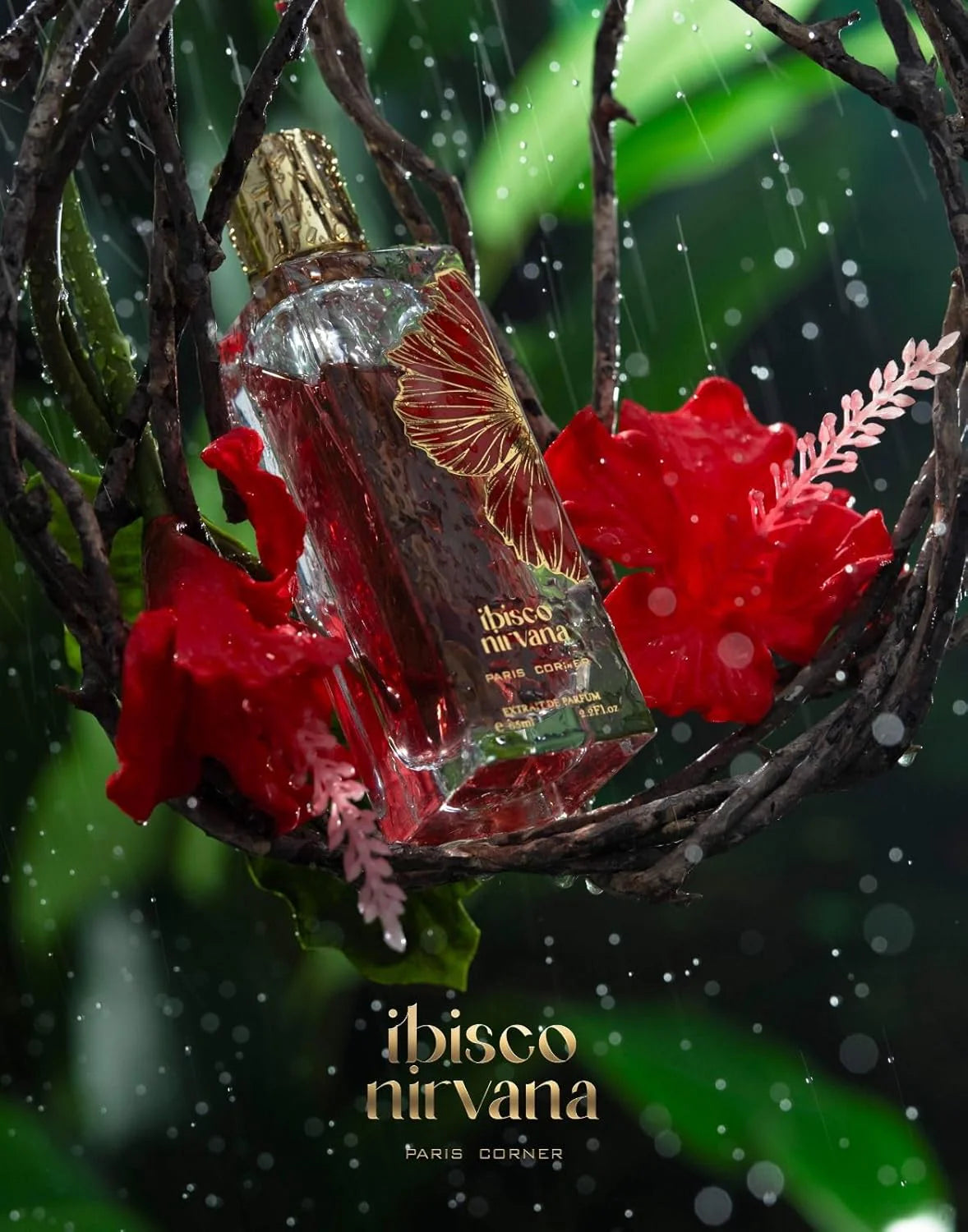 Ibisco Nirvana vs Maison Crivelli Hibiscus Mahajad comparison